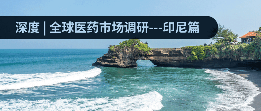 深度 | 全球醫藥市場(chǎng)調研——印尼篇