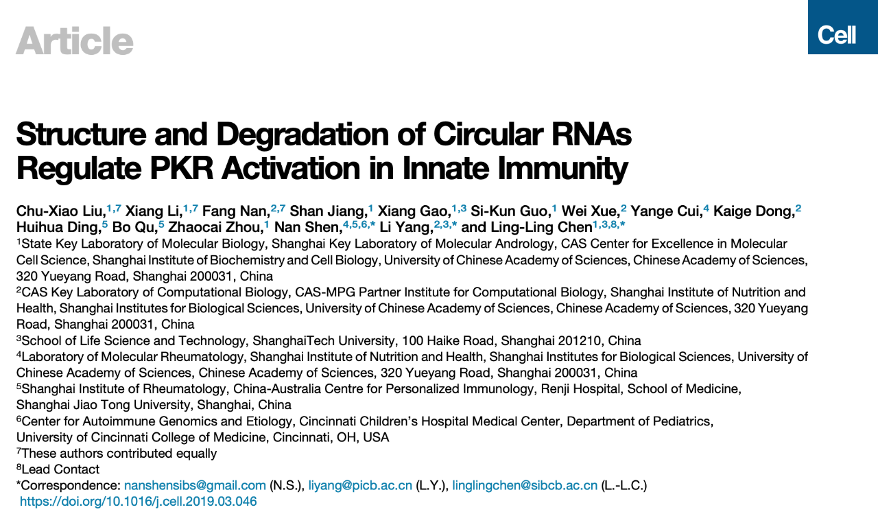 circRNA