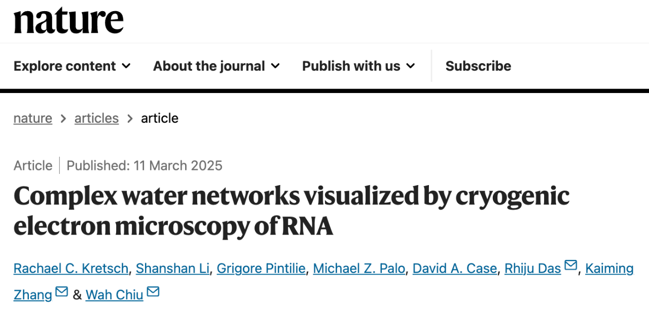  RNA 结构中的复杂水网络