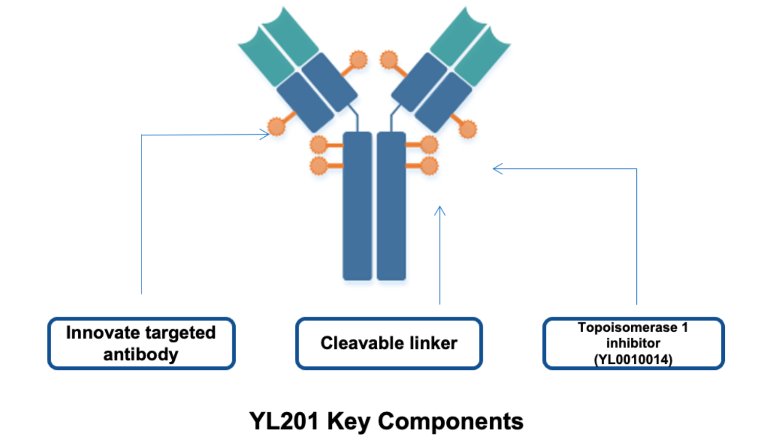 宜联生物开发的一种新型 ADC