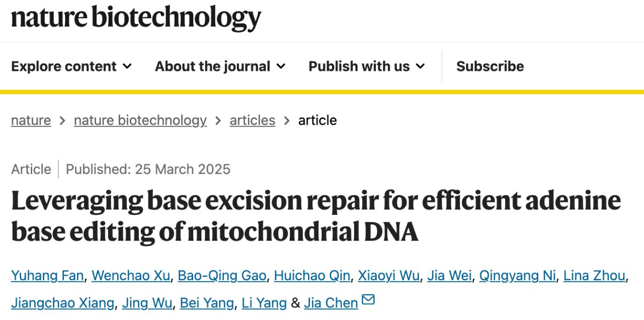 线粒体 DNA 腺嘌呤碱基编辑器 TALED 的工作机制
