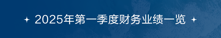 2025年第一季度財(cái)務(wù)業(yè)績(jī)一覽