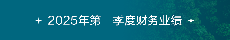 2025年第一季度財(cái)務(wù)業(yè)績(jī)
