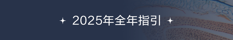 2025年全年指引