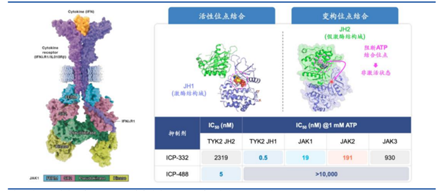 ICP-332和ICP-488結(jié)構(gòu)
