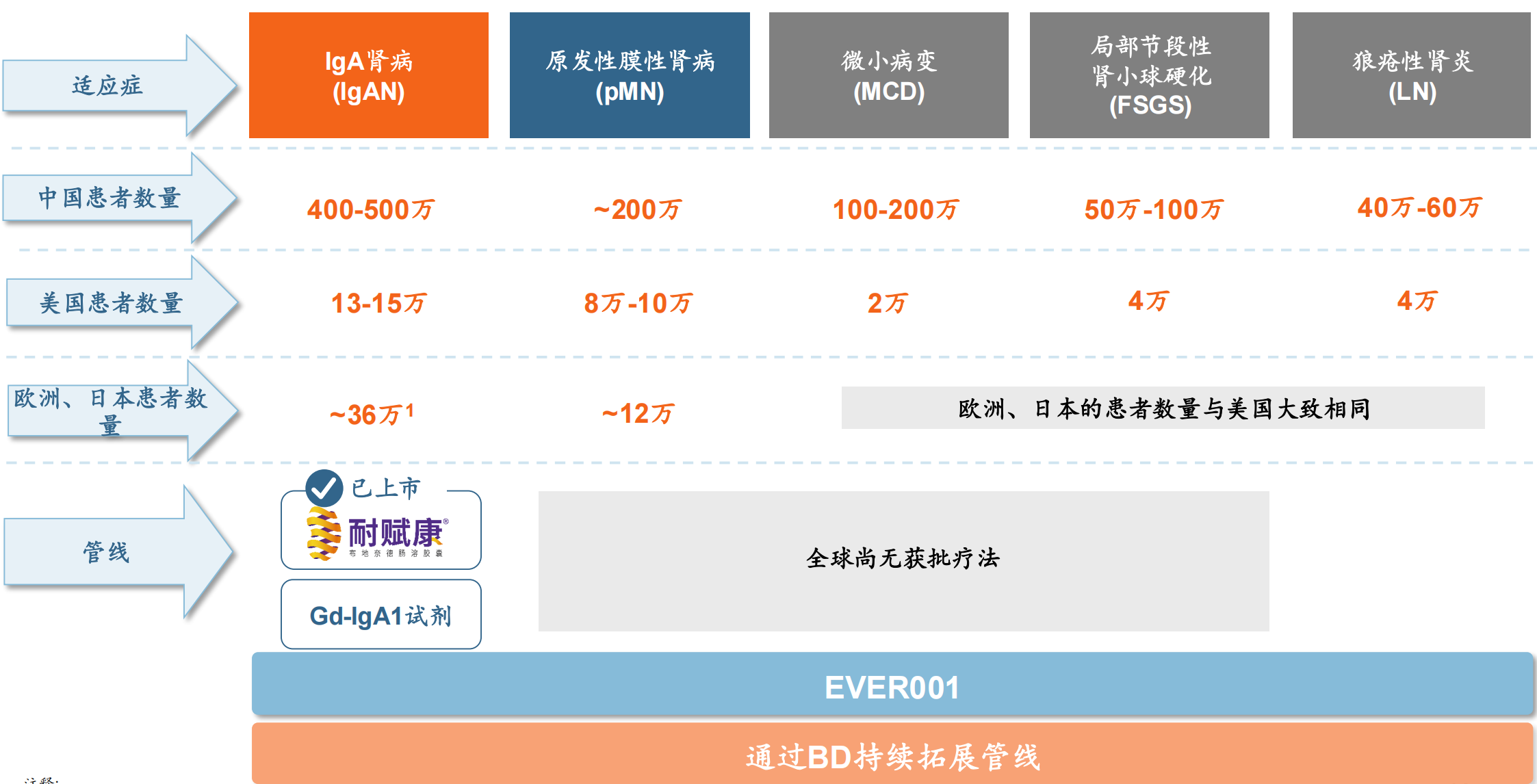 云頂新耀戰(zhàn)略聚焦