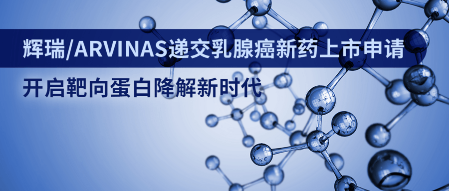 輝瑞/Arvinas遞交乳腺癌新藥上市申請，開啟靶向蛋白降解新時代