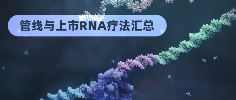 管線與上市RNA療法匯總