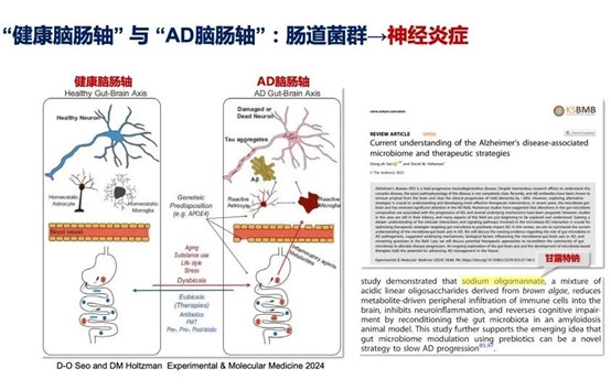 美國(guó)AD研究領(lǐng)域的著名科學(xué)家David Holtzman對(duì)AD腦腸軸的概念進(jìn)行了總結(jié)