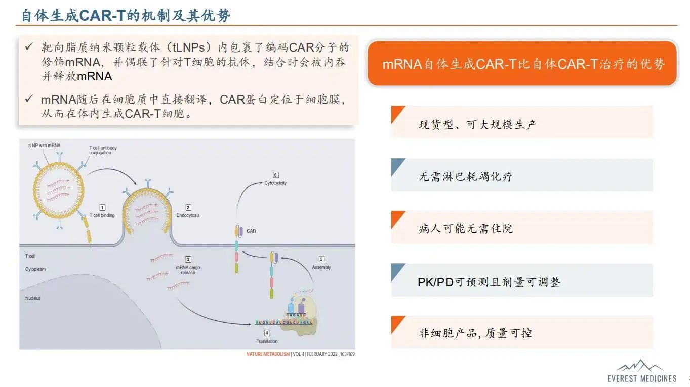 自體生成CAR-T的機制及其優(yōu)勢