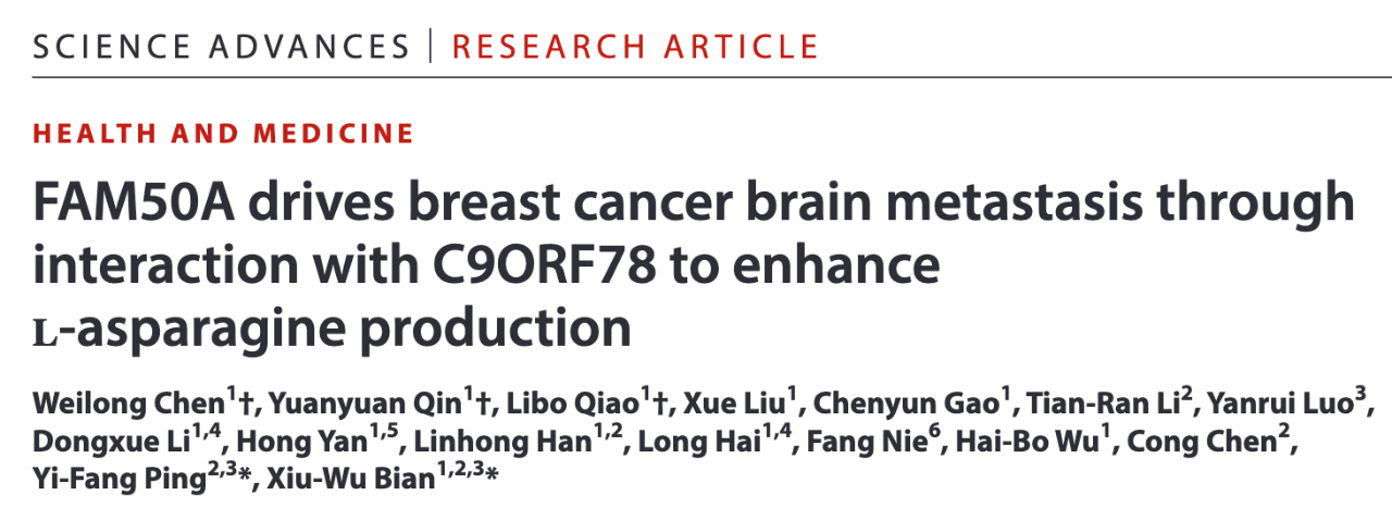 FAM50A drives breast cancer brain metastasis throughinteraction with C9ORF78 to enhanceL-asparagine production