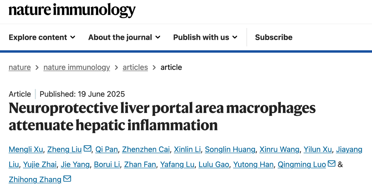 Neuroprotective liver portal area macrophages attenuate hepatic inflammation 
