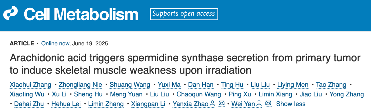 Arachidonic acid triggers spermidine synthase secretion from primary tumorto induce skeletal muscle weakness upon irradiation