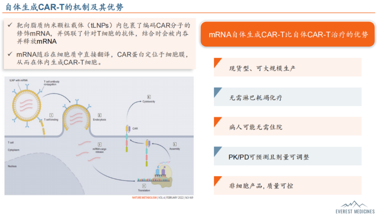 自體生成CAR-T的機(jī)制及其優(yōu)勢(shì)