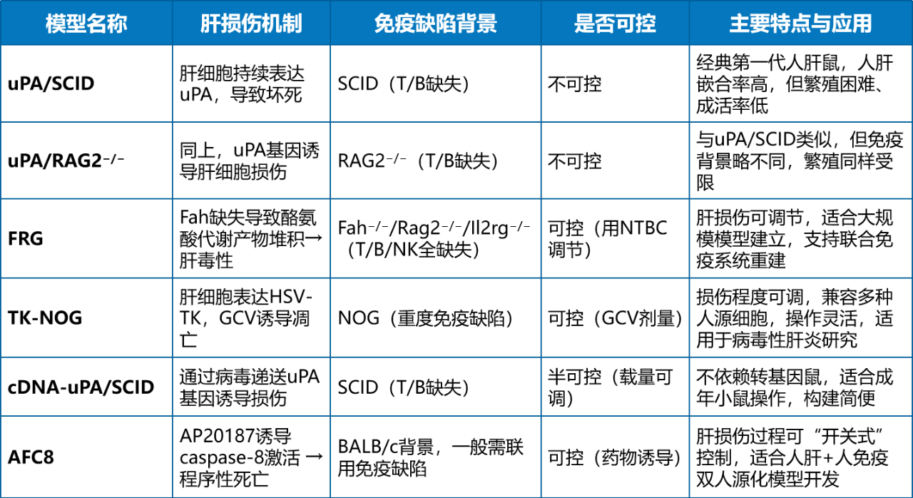 用于構(gòu)建肝臟人源化的幾種小鼠模型