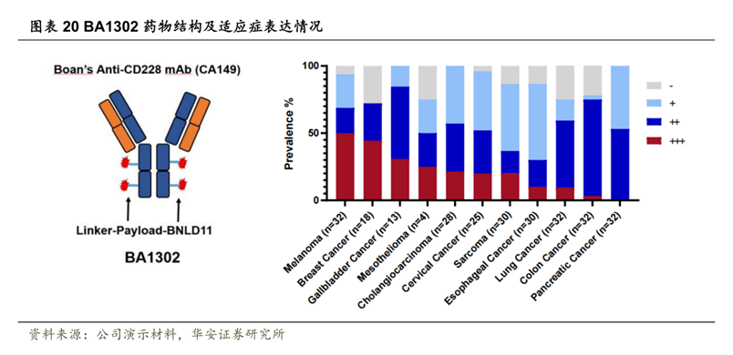 圖片來源：華安證券研報