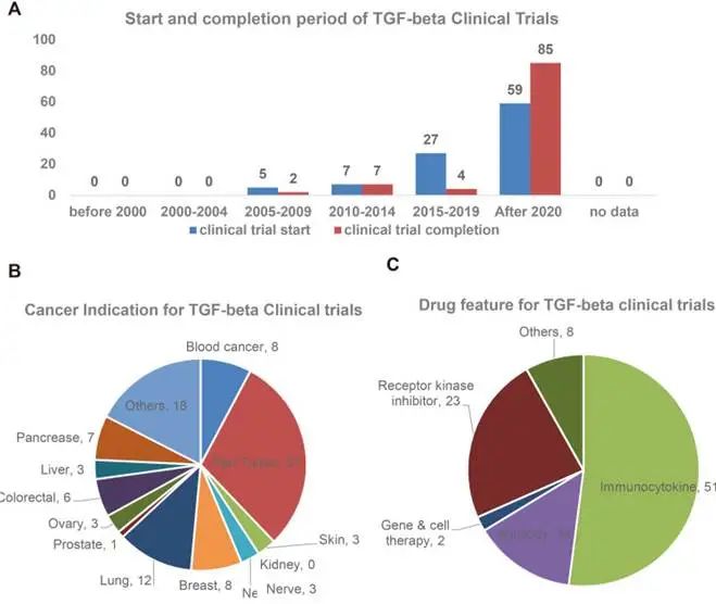TGF-β自2015年以來(lái)一直在積極進(jìn)行臨床試驗(yàn)，主要用于泛腫瘤適應(yīng)癥。超過(guò)66%的試驗(yàn)集中在抗TGF-β抗體和融合蛋白的開(kāi)發(fā)。