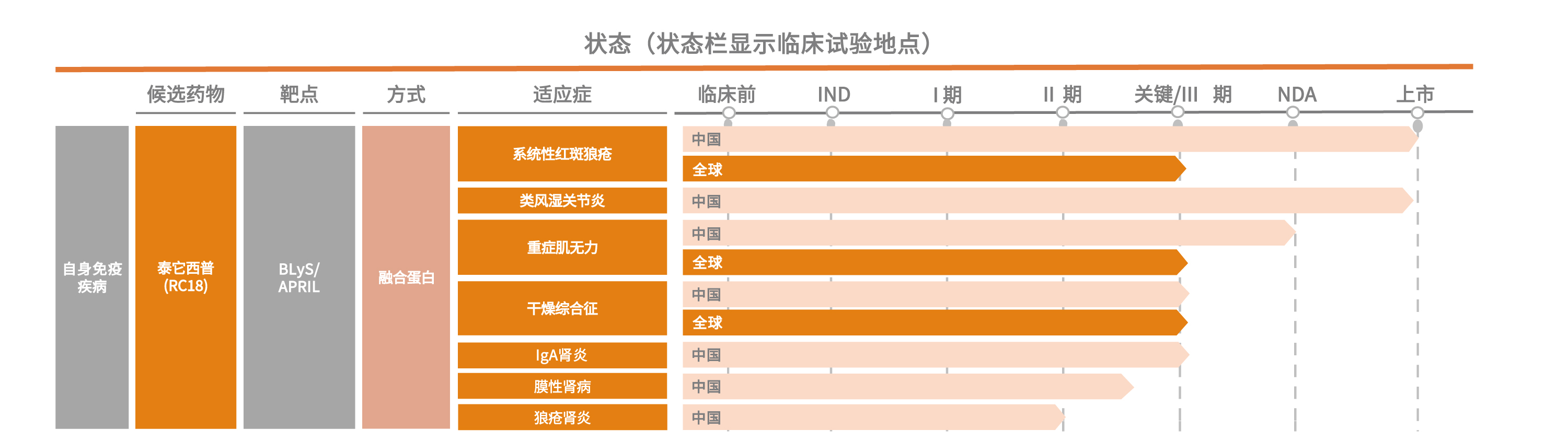 泰它西普在自免領(lǐng)域在研管線
