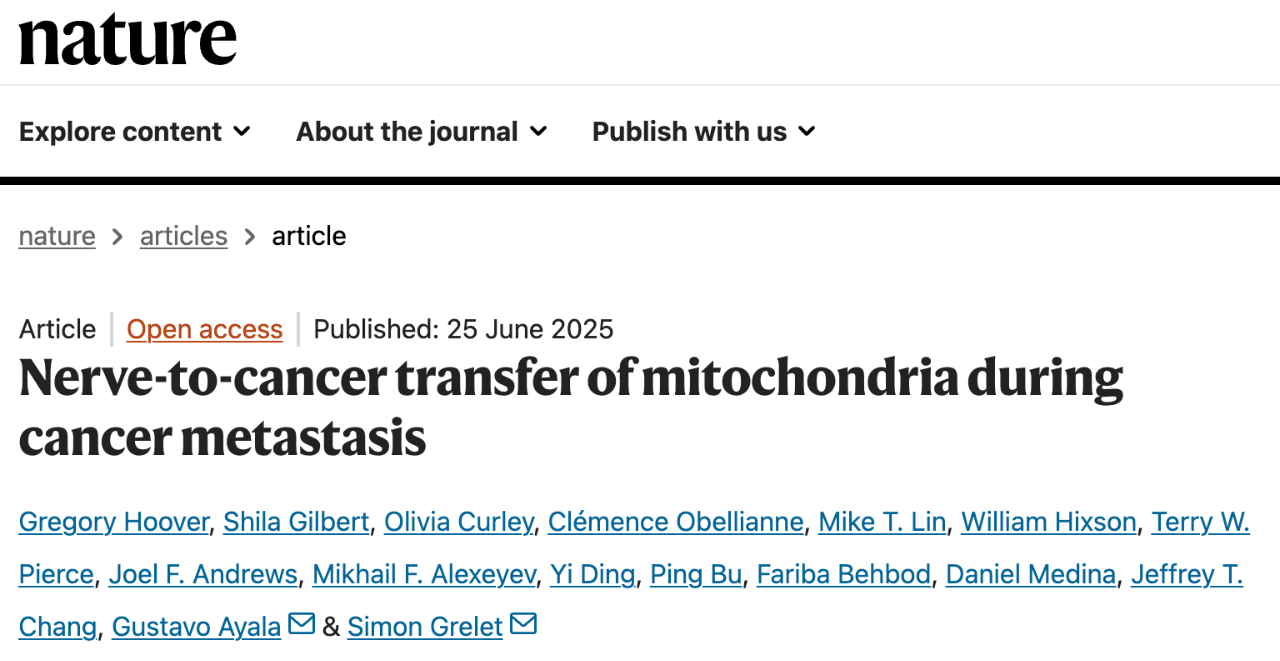 Nerve-to-cancer transfer of mitochondria during cancer metastasis