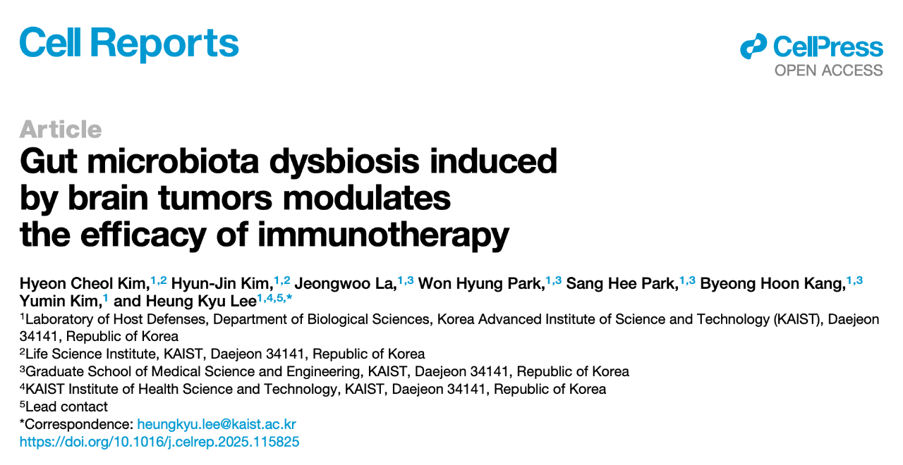 Gut microbiota dysbiosis induced by brain tumors modulates the efficacy of immunotherapy