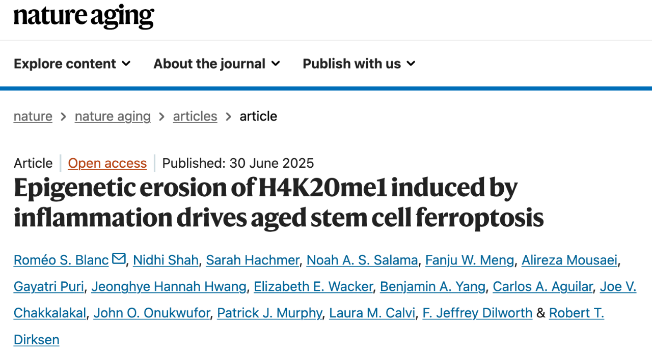 EpigeneticerosionofH4K20melinduced byinflammation drives aged stem cell ferroptosis
