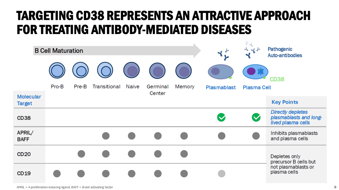 FORTREATING ANTIBODY-MEDIATED DISEASES TARGETING CD38 REPRESENTS AN ATTRACTIVEAPPROACH
