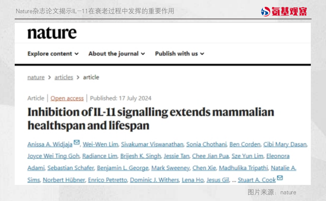 Nature雜志論文揭示IL-11在衰老過程中發(fā)揮的重要作用