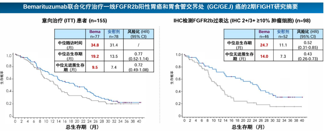 Bemarituzumab聯(lián)合化療治療一線FGFR2b陽性胃癌和胃食管交界處(GC/GEJ)癌的2期FIGHT研究摘要