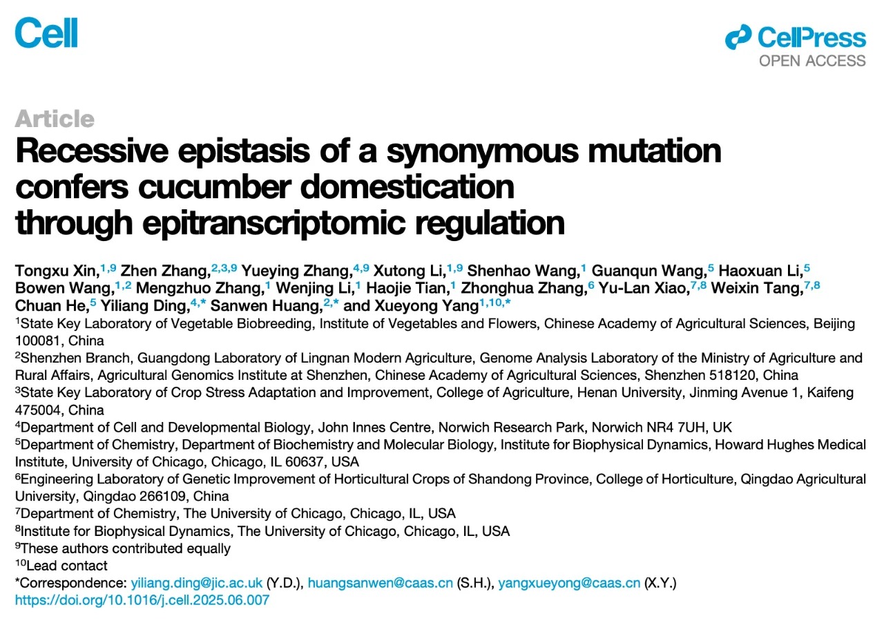 國際頂尖學(xué)術(shù)期刊 Cell 上發(fā)表了題為：Recessive epistasis of a synonymous mutation confers cucumber domestication through epitranscriptomic regulation 的研究論文。
