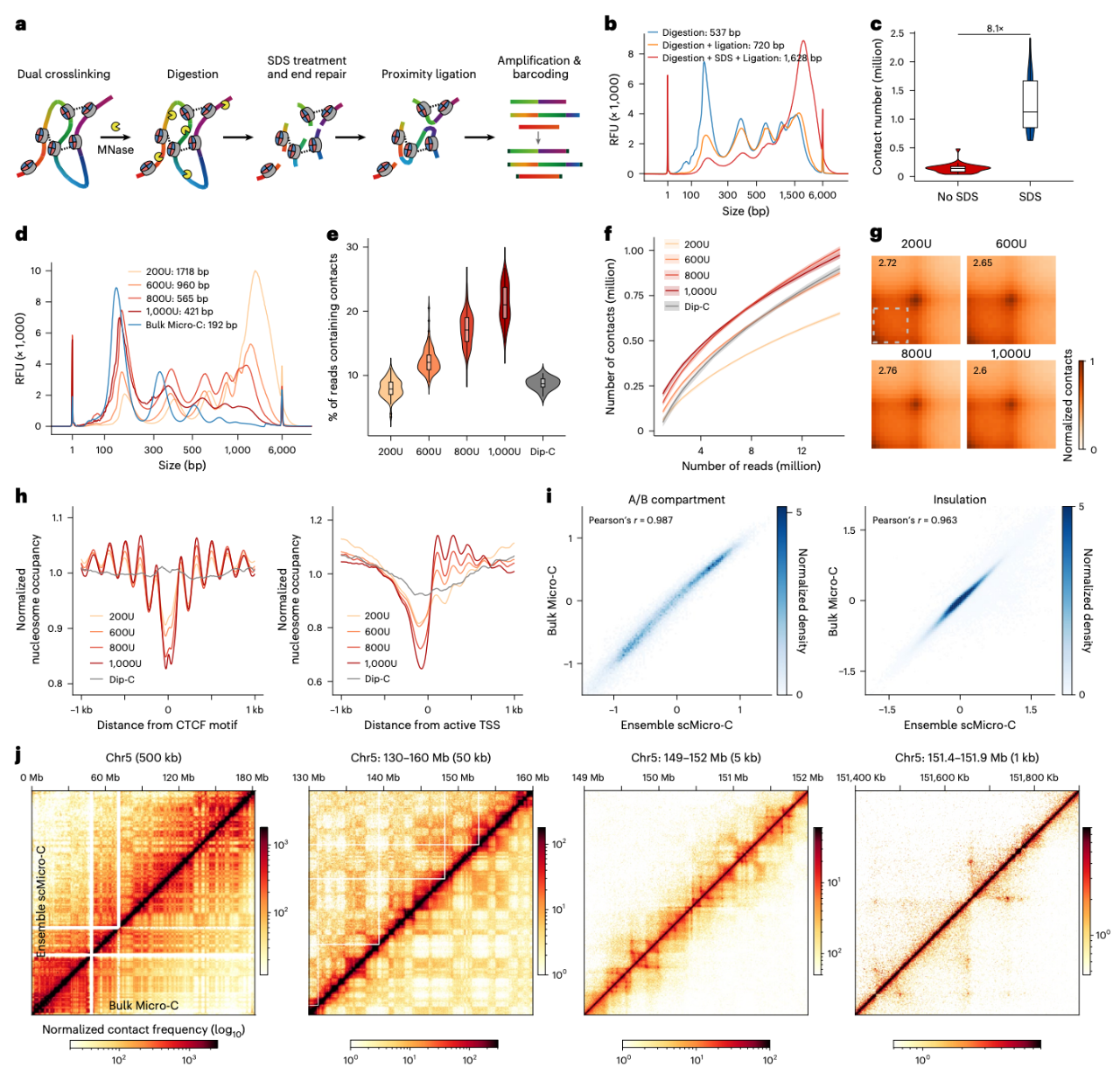 這是一種基于微球菌核酸酶（Micrococcal nuclease）的 3D 基因組圖譜技術(shù)，其空間分辨率提升至 5 kb。