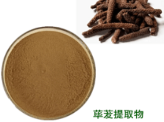 蓽茇提取物