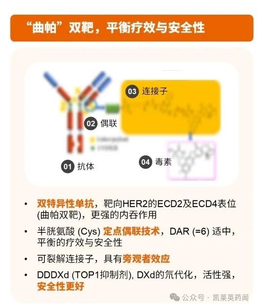“曲帕”雙靶，平衡療效與安全性