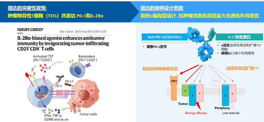 信達(dá)的突破性發(fā)現(xiàn)