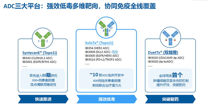 ADC三大平臺(tái):強(qiáng)效低毒多維靶向，協(xié)同免疫全線覆蓋