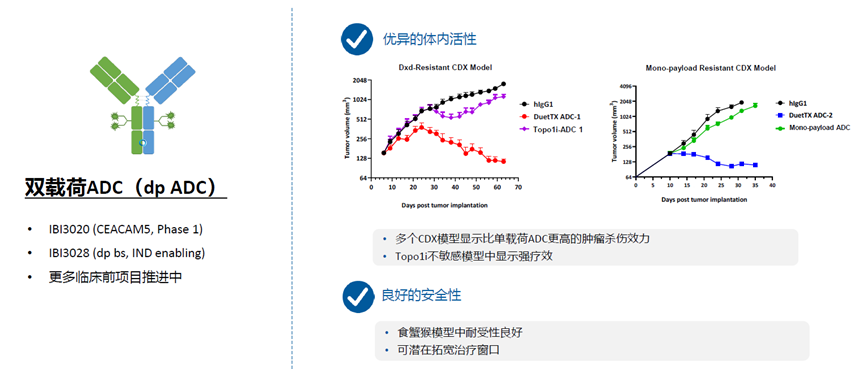 雙抗雙毒素ADC，理論上可以結(jié)合雙抗對(duì)腫瘤的高選擇和雙毒素的更高的殺傷的優(yōu)勢(shì)，從而在提高治療窗口的同時(shí)，也能在一定程度上防止ADC的耐藥問(wèn)題。