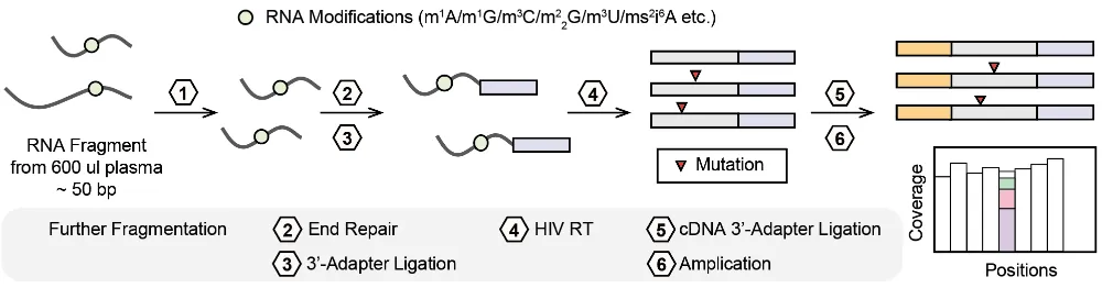 LIME-seq