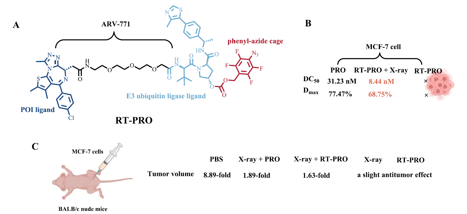 放射治療觸發(fā)的PROTAC（RT-PROTAC）的化學(xué)結(jié)構(gòu)和細(xì)胞實(shí)驗(yàn)結(jié)果