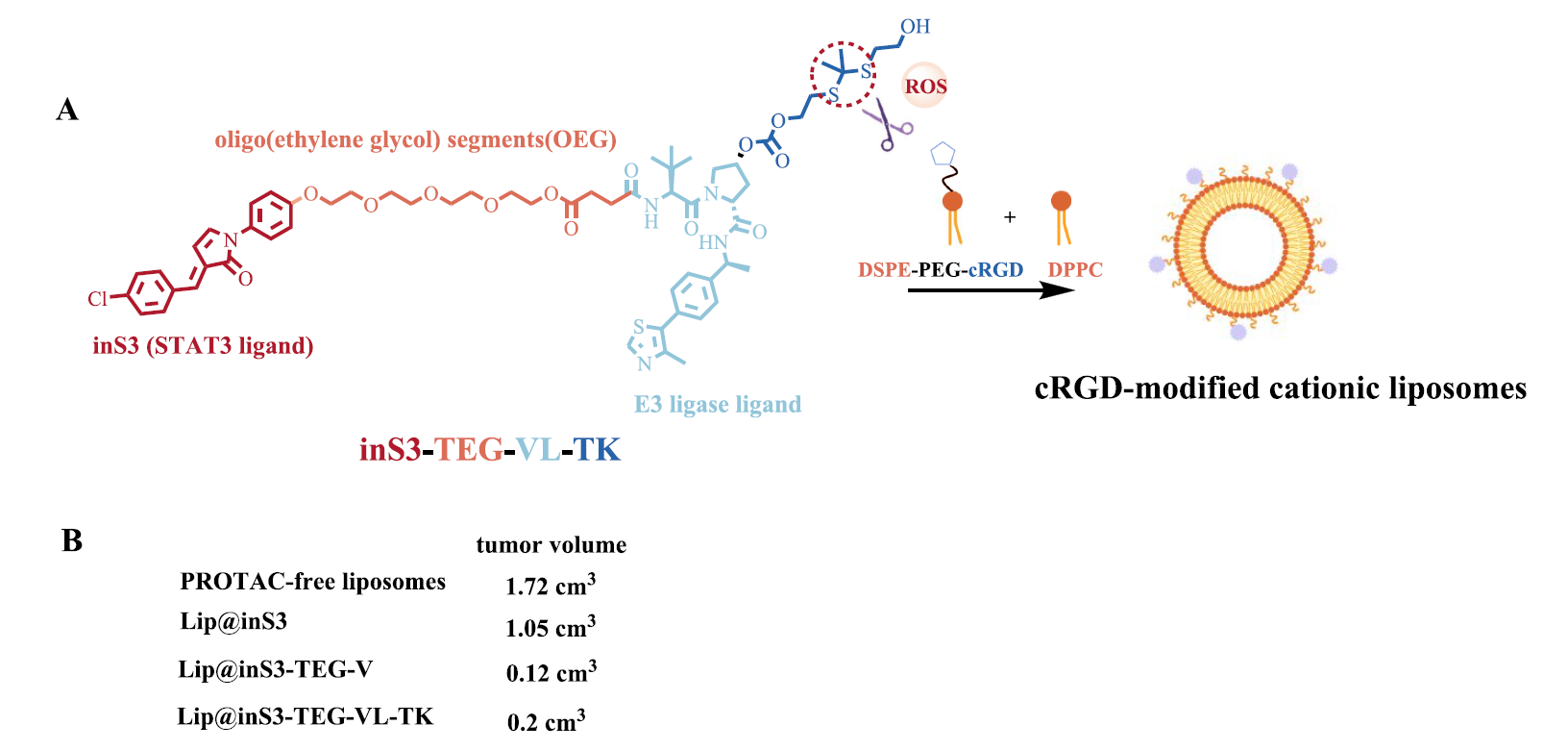 脂質(zhì)體PROTAC（Lip@inS3-TEG-VL-TK）的化學(xué)結(jié)構(gòu)和作用機(jī)制