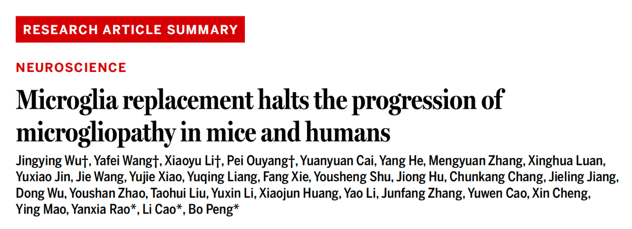2025 年 7 月 10 日，復(fù)旦大學(xué)彭勃、上海交通大學(xué)曹立、復(fù)旦大學(xué)饒艷霞作為通訊作者（鄔靜瑩、王亞飛、李小鈺、歐陽霈共同第一作者），在國際頂尖學(xué)術(shù)期刊 Science 上發(fā)表了題為：Microglia replacement halts the progression of microgliopathy in mice and humans 的研究論文。