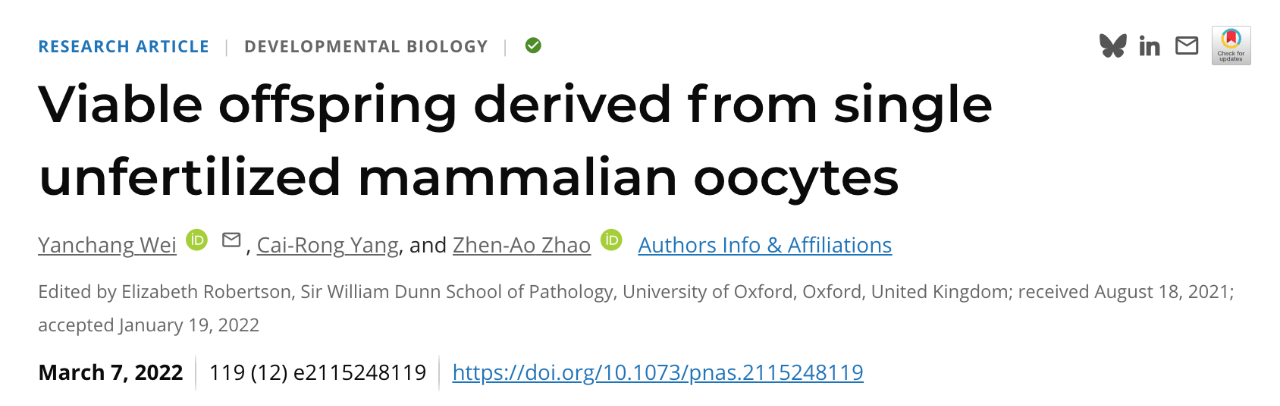 魏延昌等人在《美國國家科學(xué)院院刊》（PNAS）上發(fā)表了題為：Viable offspring derived from single unfertilized mammalian oocytes 的研究論文【2】。