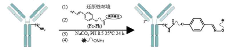 關(guān)鍵點(diǎn)定向修飾技術(shù)