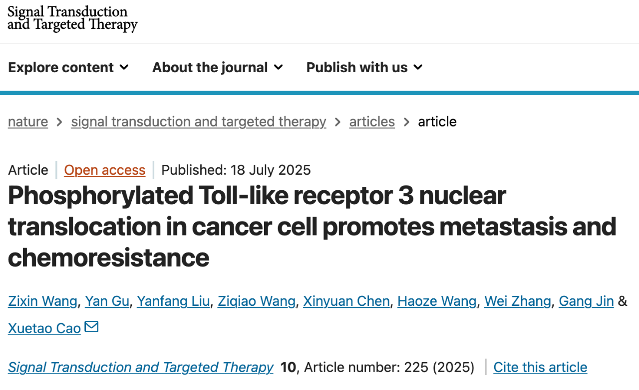 2025 年 7 月 18 日，曹雪濤院士團隊在Signal Transduction and Targeted Therapy 期刊發(fā)表了題為：Phosphorylated Toll-like receptor 3 nuclear translocation in cancer cell promotes metastasis and chemoresistance 的研究論文。