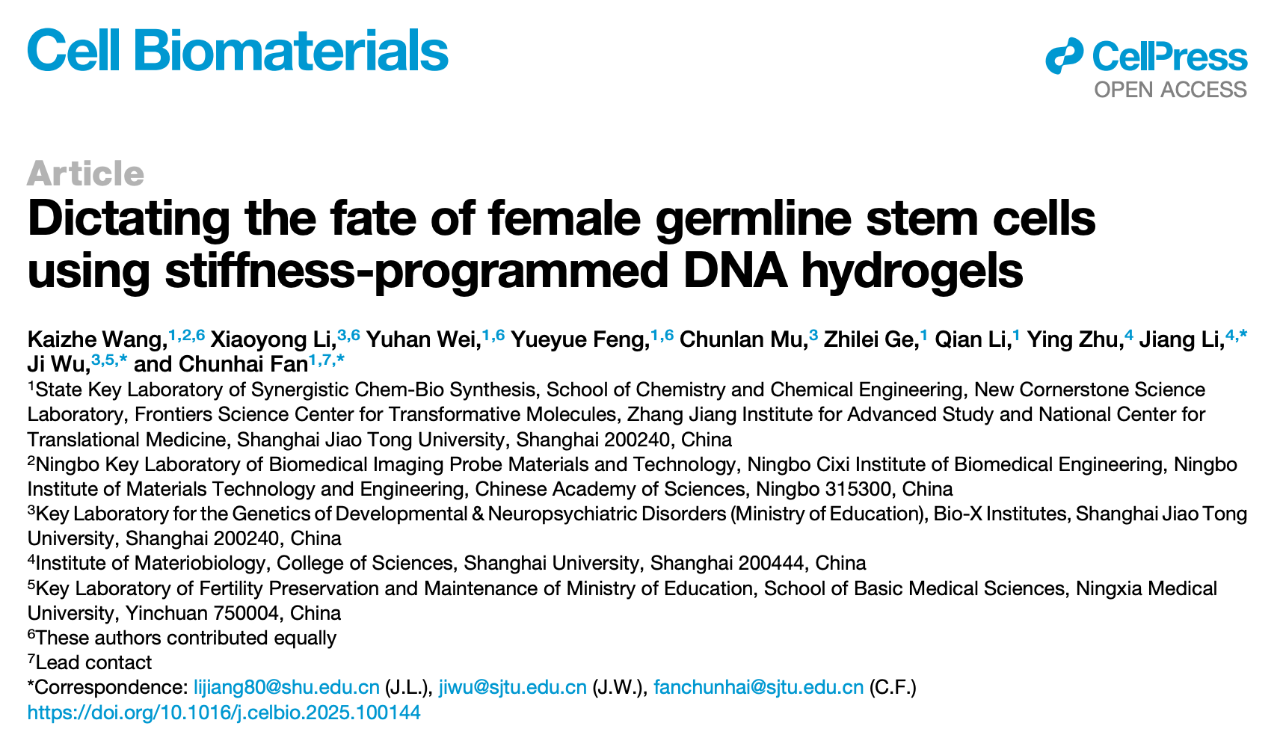 上海交通大學樊春海院士、吳際教授，上海大學李江研究員等 Cell 子刊 Cell Biomaterials 上發(fā)表了題為：Dictating the fate of female germline stem cells using stiffness-programmed DNA hydrogels 的研究論文。