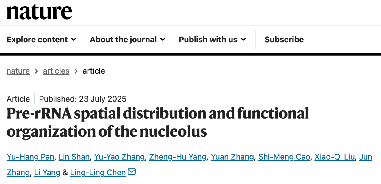 2025 年 7 月 23 日，中國科學院分子細胞科學卓越創(chuàng)新中心陳玲玲研究員團隊（博士生潘宇航、博士后單琳、博士生張宇瑤為共同第一作者）在國際頂尖學術期刊 Nature 上加速上線了題為：Pre-rRNA spatial distribution and functional organisation of the nucleolus 的研究論文。