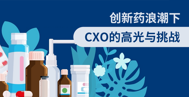創新藥浪潮下，CXO的高光與挑戰