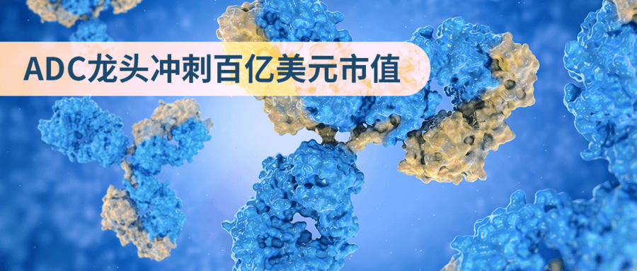 ADC龍頭沖刺百億美元市值