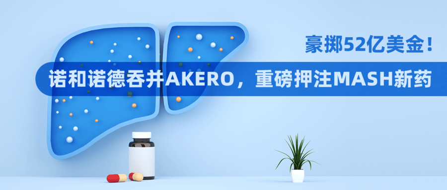 豪擲52億美金！諾和諾德吞并Akero，重磅押注MASH新藥