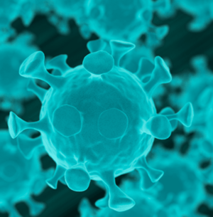 針對(duì)結(jié)直腸癌！石藥/康寧杰瑞雙抗ADC斬獲突破性治療認(rèn)定