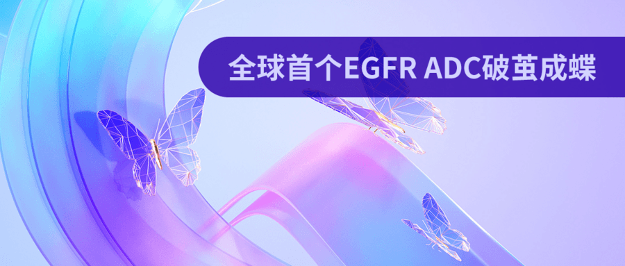 全球首 個(gè)EGFR ADC破繭成蝶