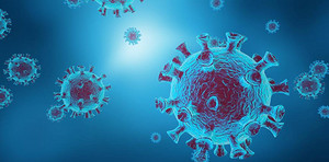 工業(yè)菌株的育種與工業(yè)生產(chǎn)種子的制備